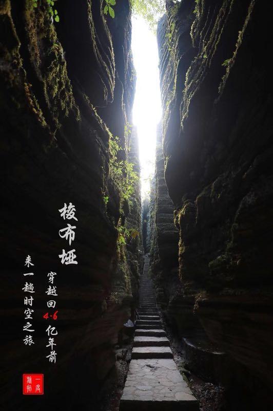 “烧钱”专业户,百济神州5年半亏损500亿!股价逆势跌3%!