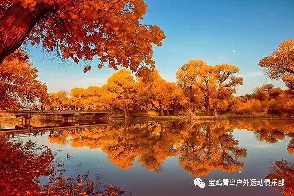 拯救龙精灵