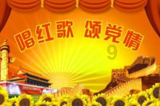 救援小棕兔