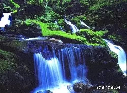沪江开心词场