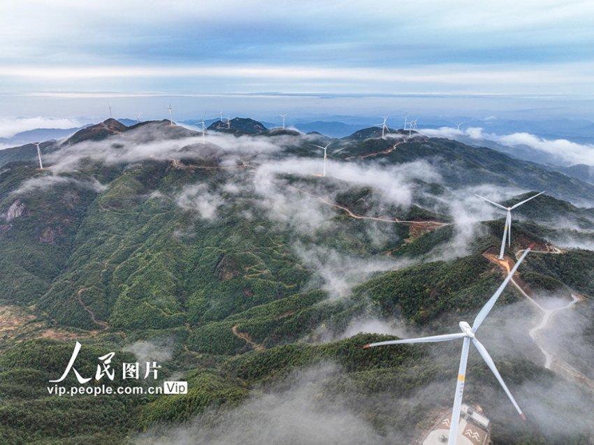 保定高新区：新春送“福” 税暖人心