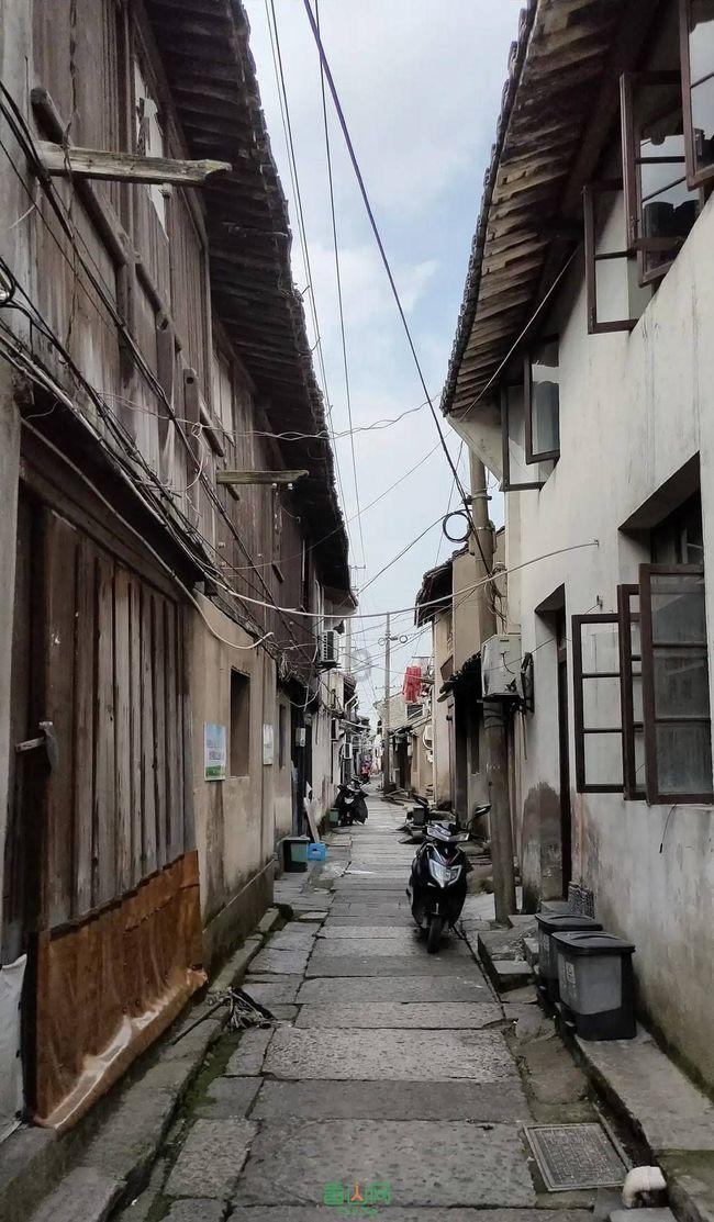 凤凰不好惹